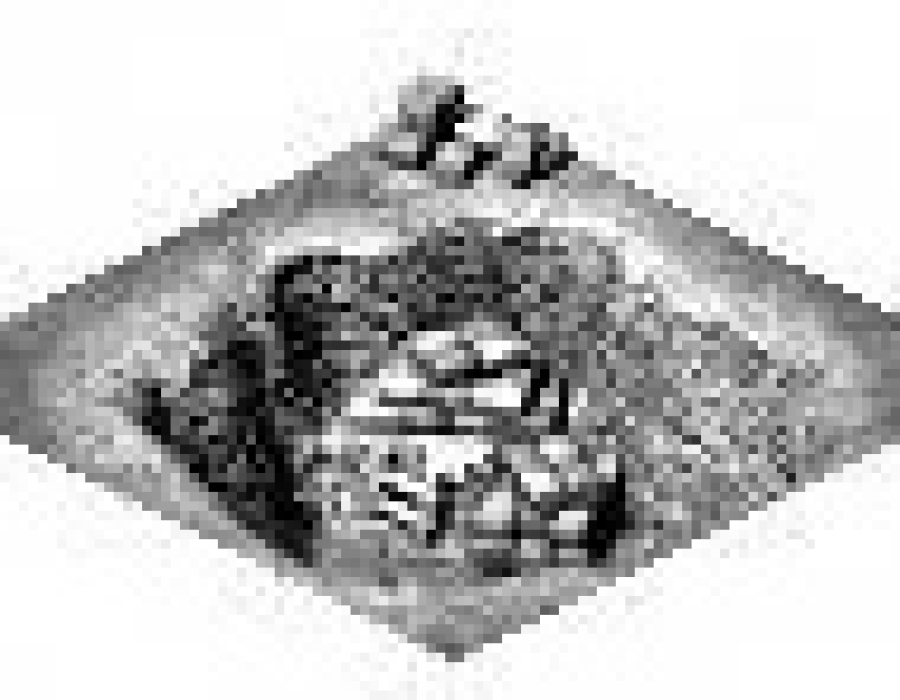 claypitbw.jpg